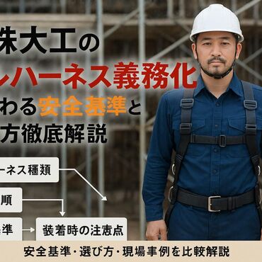 12 型枠大工 フルハーネス